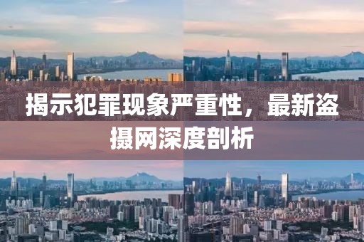揭示犯罪现象严重性，最新盗摄网深度剖析