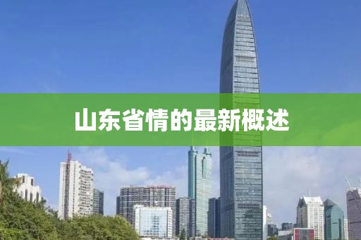 山东省情的最新概述