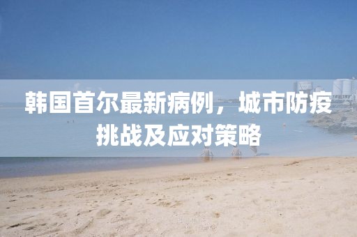 韩国首尔最新病例，城市防疫挑战及应对策略