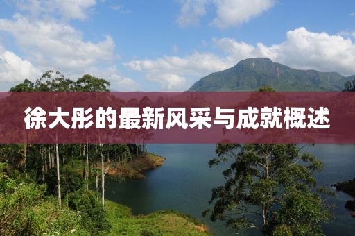 徐大彤的最新风采与成就概述