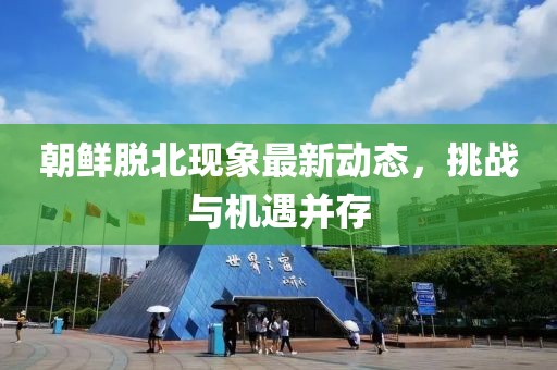 朝鲜脱北现象最新动态，挑战与机遇并存