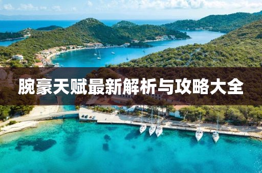腕豪天赋最新解析与攻略大全
