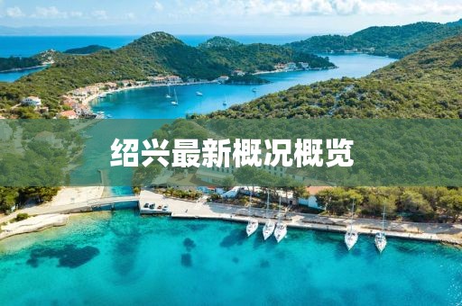 霜标水月孤 第48页