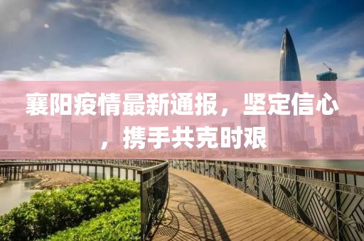 襄阳疫情最新通报，坚定信心，携手共克时艰