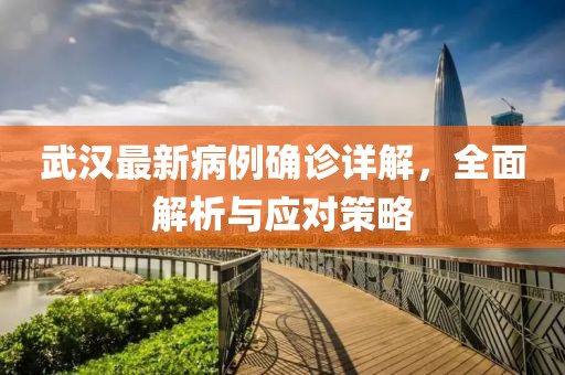 武汉最新病例确诊详解，全面解析与应对策略
