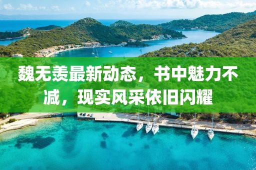 魏无羡最新动态，书中魅力不减，现实风采依旧闪耀