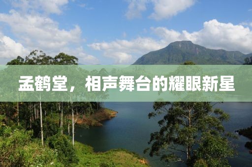 孟鹤堂，相声舞台的耀眼新星