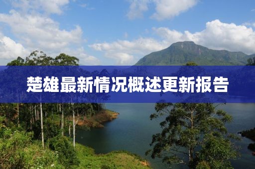 楚雄最新情况概述更新报告