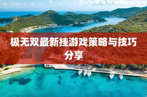 极无双最新挂游戏策略与技巧分享