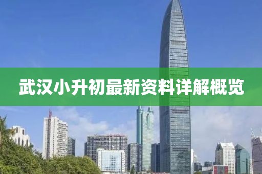 武汉小升初最新资料详解概览