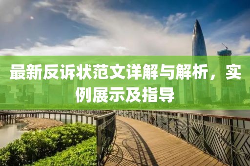 最新反诉状范文详解与解析，实例展示及指导
