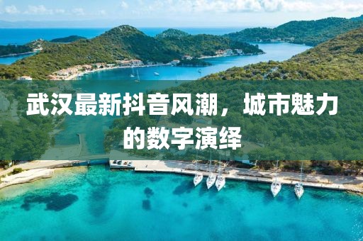 武汉最新抖音风潮，城市魅力的数字演绎