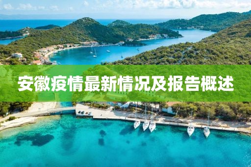安徽疫情最新情况及报告概述