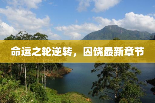 命运之轮逆转，囚饶最新章节