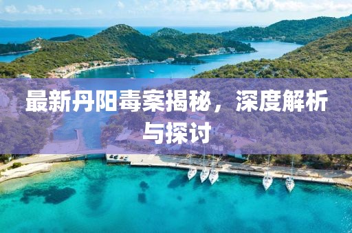 最新丹阳毒案揭秘，深度解析与探讨