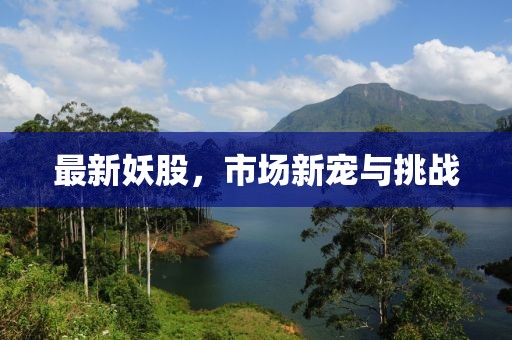 最新妖股，市场新宠与挑战