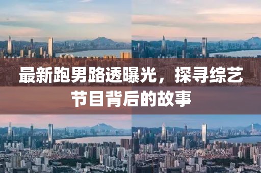 以南的地方 第24页