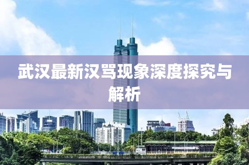 武汉最新汉骂现象深度探究与解析