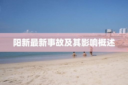 阳新最新事故及其影响概述