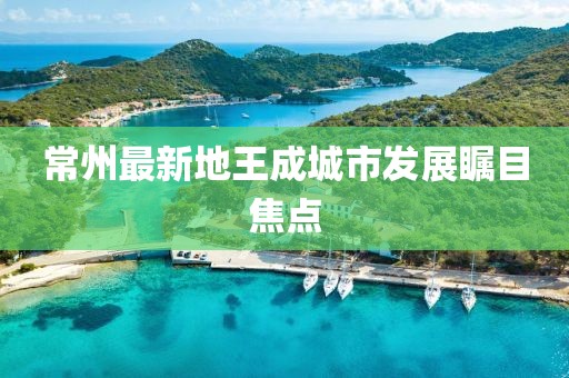 常州最新地王成城市发展瞩目焦点