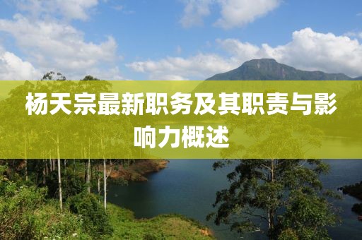 杨天宗最新职务及其职责与影响力概述