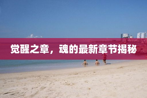 觉醒之章，魂的最新章节揭秘