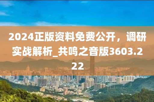 2024正版资料免费公开，调研实战解析_共鸣之音版3603.222