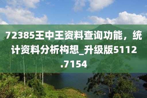 72385王中王资料查询功能，统计资料分析构想_升级版5112.7154