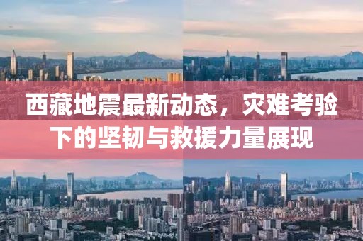 西藏地震最新动态，灾难考验下的坚韧与救援力量展现