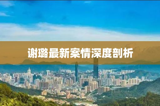 谢璐最新案情深度剖析