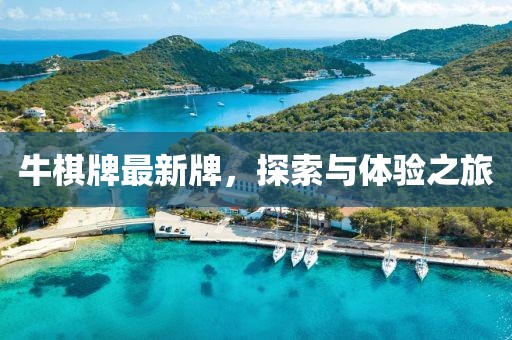 牛棋牌最新牌，探索与体验之旅