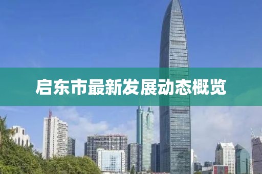 启东市最新发展动态概览