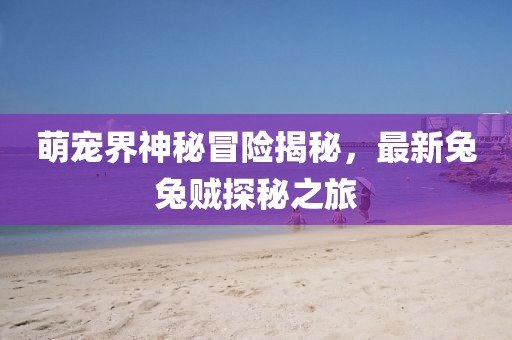 萌宠界神秘冒险揭秘，最新兔兔贼探秘之旅