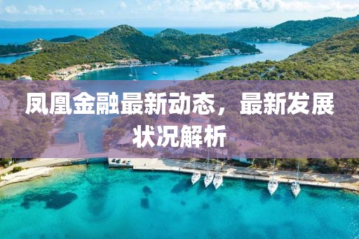 凤凰金融最新动态，最新发展状况解析