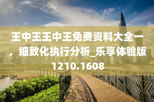 王中王王中王免费资料大全一，细致化执行分析_乐享体验版1210.1608