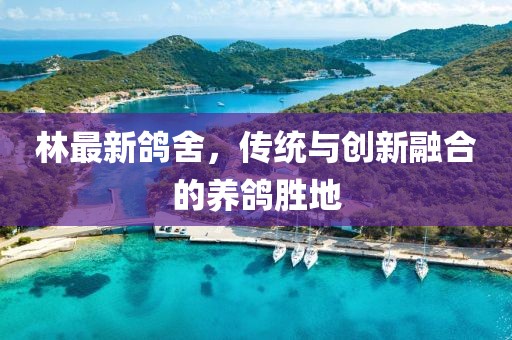 林最新鸽舍，传统与创新融合的养鸽胜地