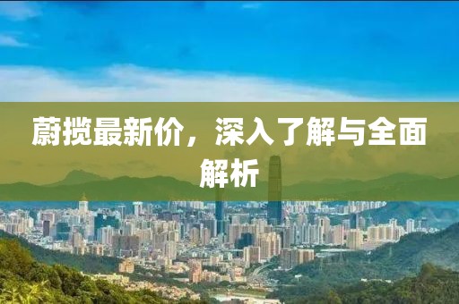 蔚揽最新价，深入了解与全面解析