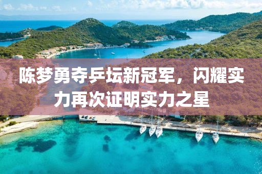 陈梦勇夺乒坛新冠军，闪耀实力再次证明实力之星