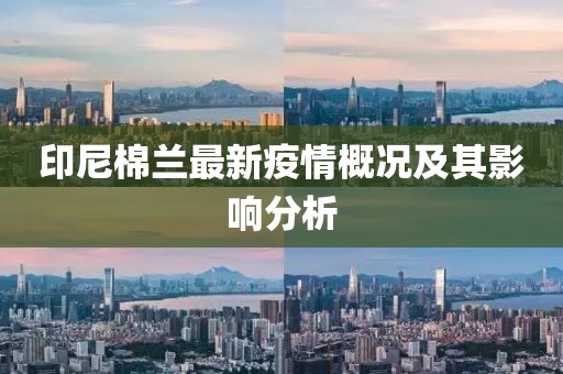 印尼棉兰最新疫情概况及其影响分析