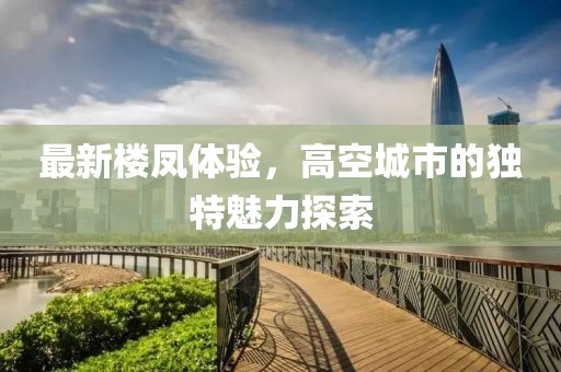 最新楼凤体验，高空城市的独特魅力探索