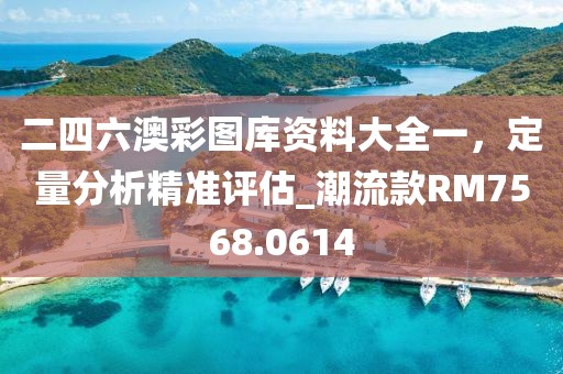 二四六澳彩图库资料大全一，定量分析精准评估_潮流款RM7568.0614