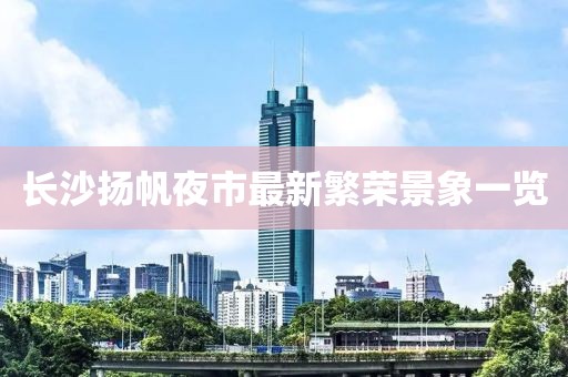 长沙扬帆夜市最新繁荣景象一览