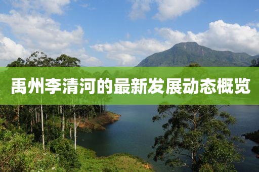 禹州李清河的最新发展动态概览