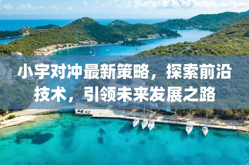 小宇对冲最新策略，探索前沿技术，引领未来发展之路