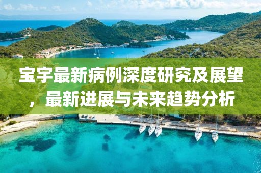 宝宇最新病例深度研究及展望，最新进展与未来趋势分析