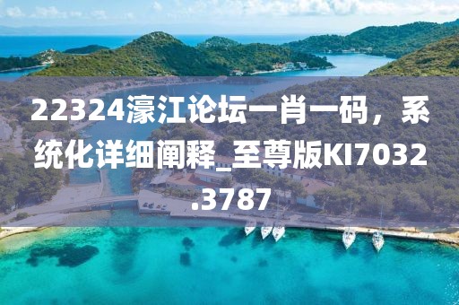 22324濠江论坛一肖一码，系统化详细阐释_至尊版KI7032.3787