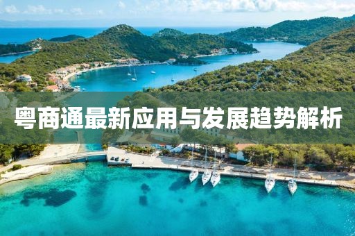 粤商通最新应用与发展趋势解析