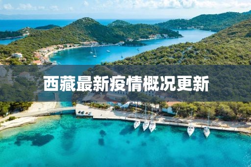 西藏最新疫情概况更新