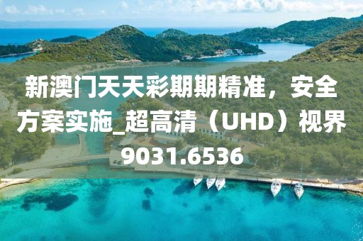 新澳门天天彩期期精准，安全方案实施_超高清（UHD）视界9031.6536