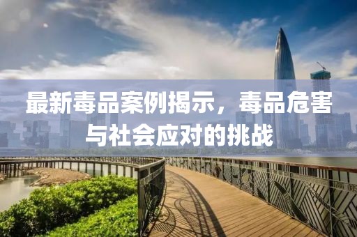 最新毒品案例揭示，毒品危害与社会应对的挑战